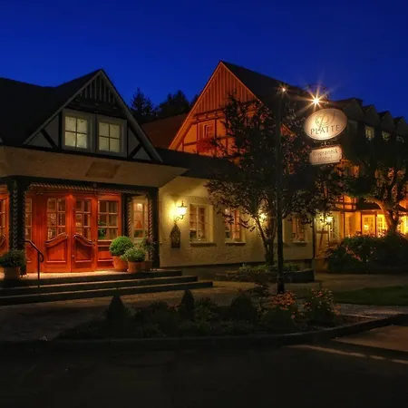 מלון Romantikhotel Platte