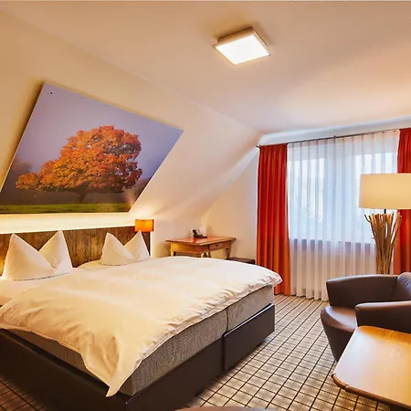 Hotel Romantikhotel Platte