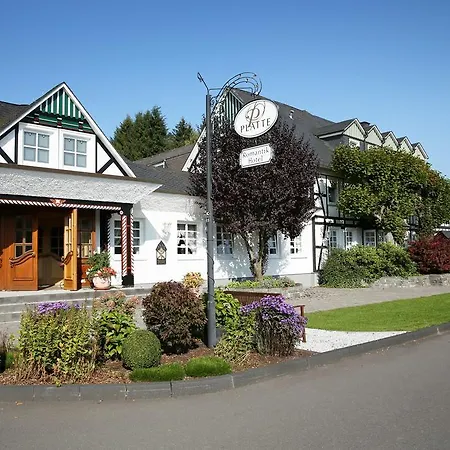 Romantikhotel Platte Hotel 4*