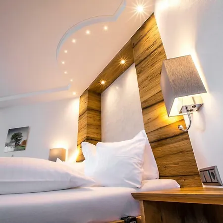 Hotel Romantikhotel Platte 4*