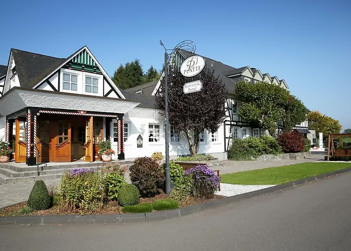 Romantikhotel Platte ホテル 4*