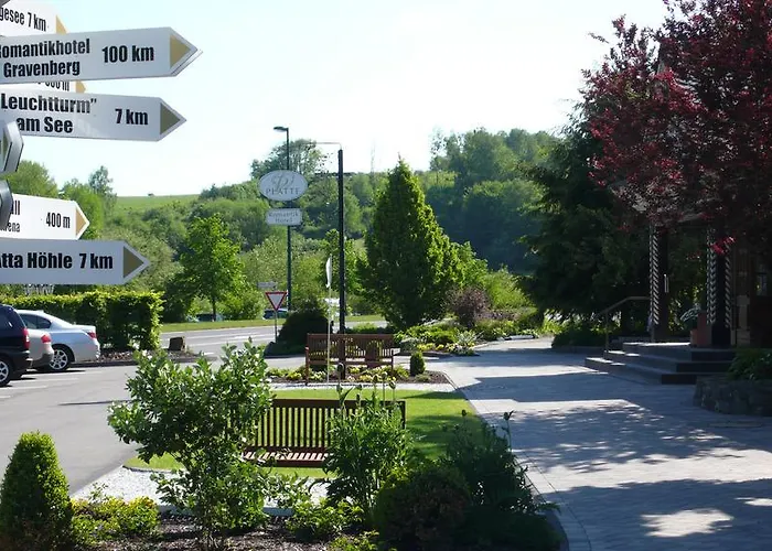 Romantikhotel Platte ホテル 4*